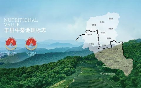 深耕牛蒡产业三十六载，探索健内容配图7