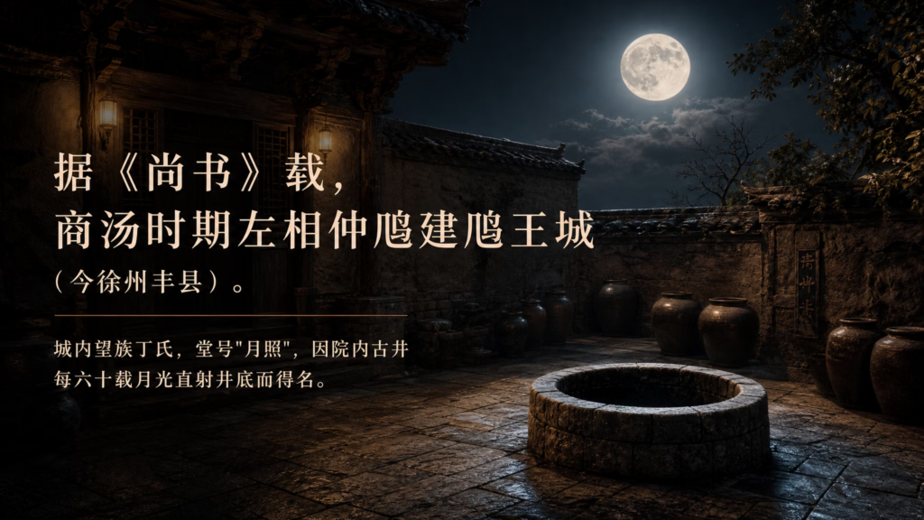 徐州丰县北纬34度黄金产区的牛蒡田景象